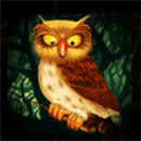 Great Book of Magic Eule